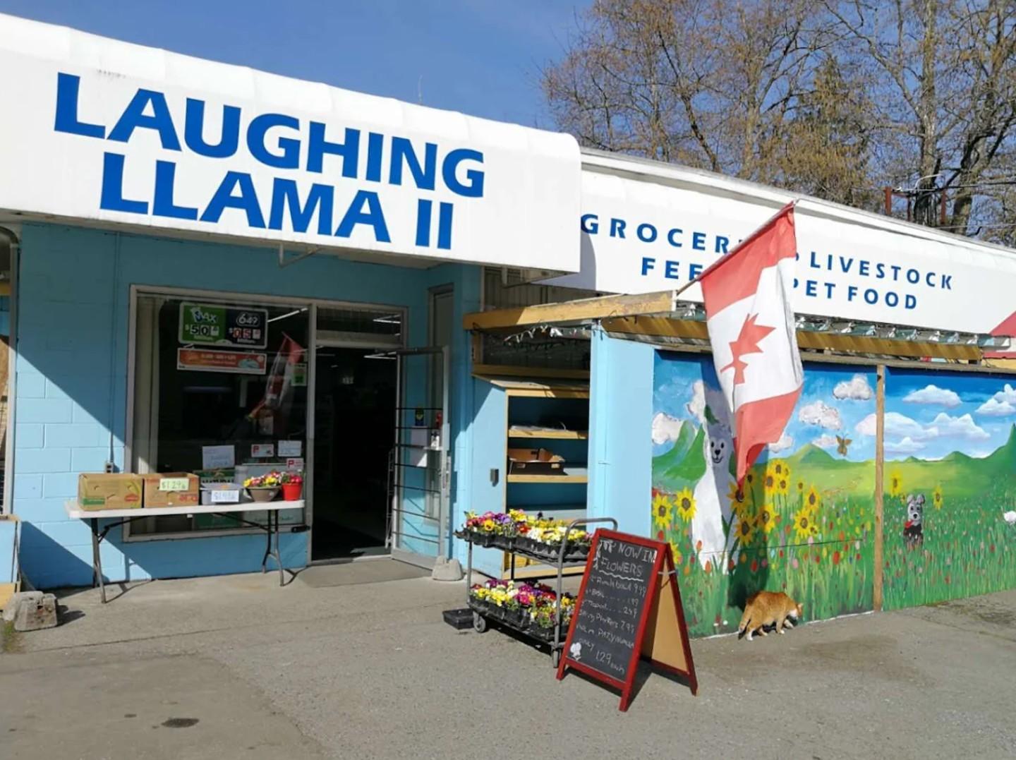 Bitstop ATM at Laughing Llama Convenience Store in Mill Bay, BC