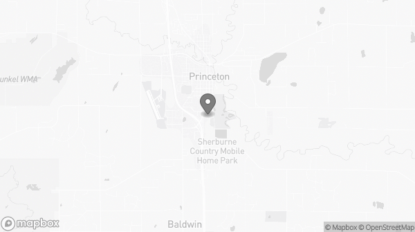 Bitcoin ATM in Princeton, MN