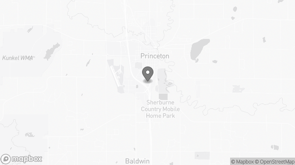 Bitcoin ATM in Princeton, MN