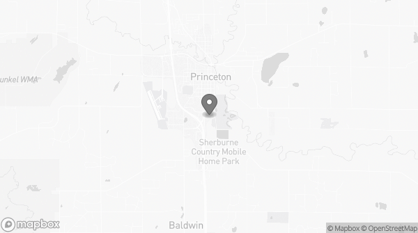 Bitcoin ATM in Princeton, MN