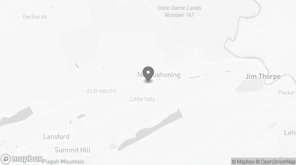 Bitcoin ATM in Nesquehoning, PA