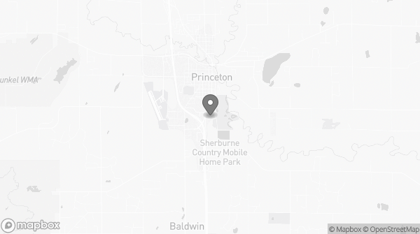 Bitcoin ATM in Princeton, MN