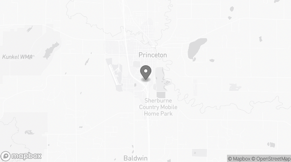Bitcoin ATM in Princeton, MN