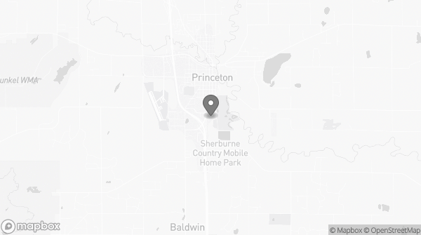 Bitcoin ATM in Princeton, MN