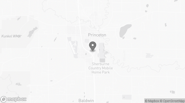 Bitcoin ATM in Princeton, MN