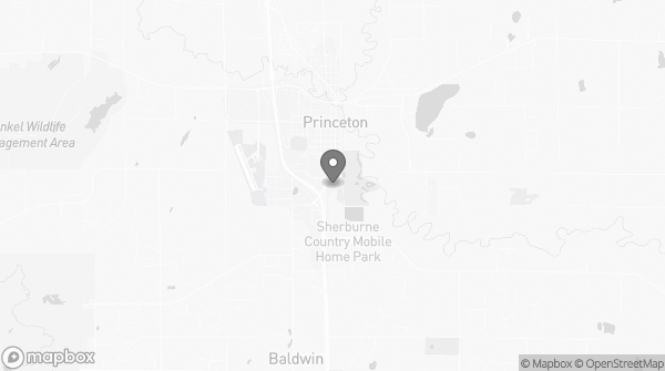 Bitcoin ATM in Princeton, MN